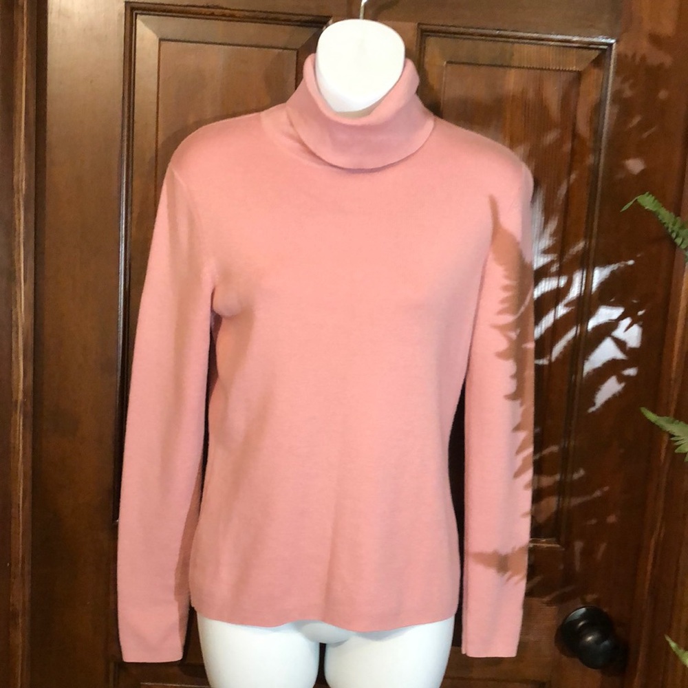 Ann Taylor Wool/Cashmere Turtleneck